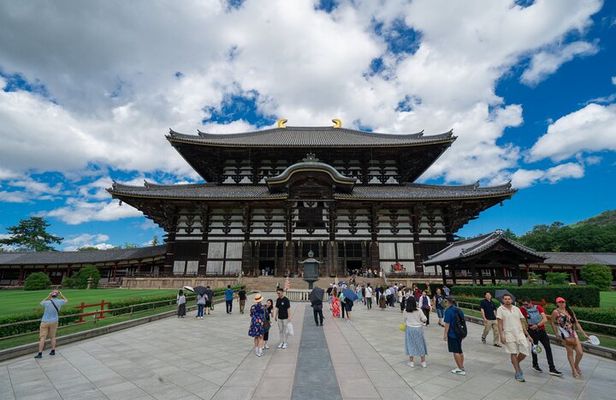 Explore Nara in a Day Van Tour from Kyoto
