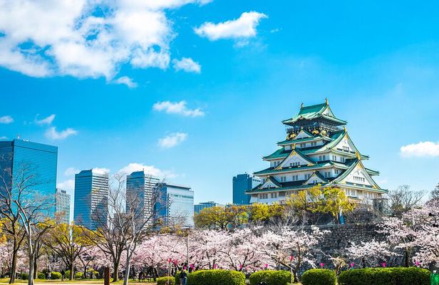 Osaka full day Private Customizable Tour(guide optional)