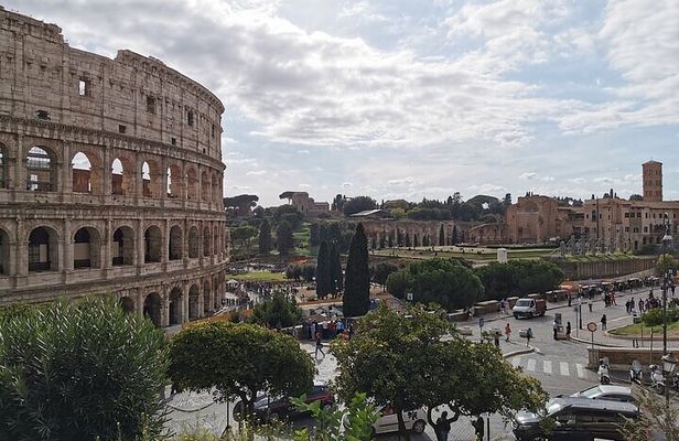 ROME:Colosseum, forum & palatin hill guided tour - private/group