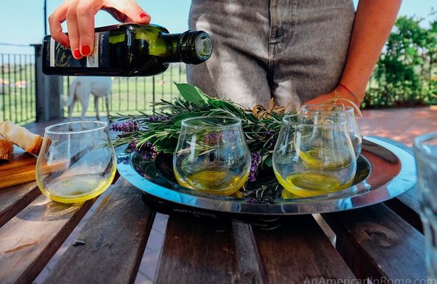 Olive Oil Tasting Farm Experience, Corinth Canal, Nafplio