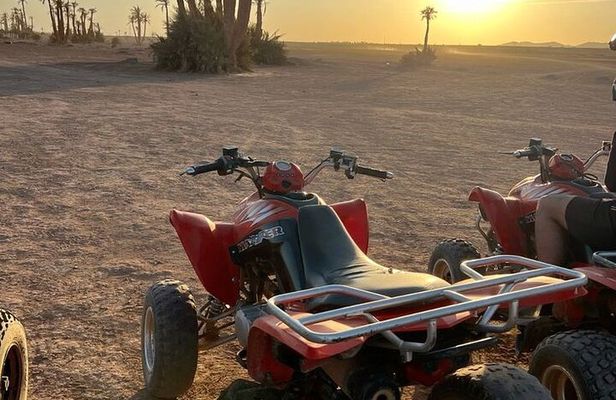 Marrakech palmeraie Quad Bike Experience with transfers