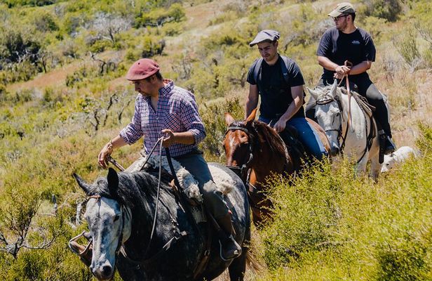 Aluminé : Day Horseback Tour with Traditional Roast
