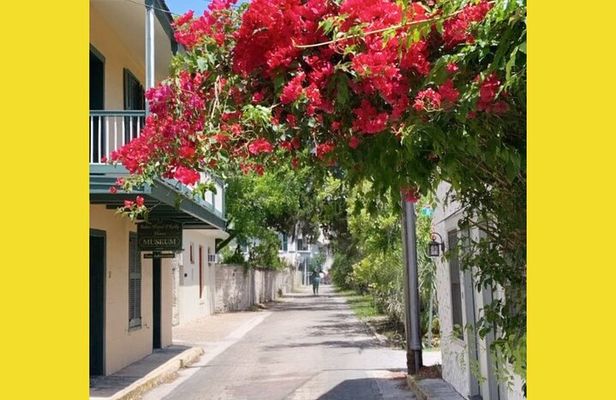 Riding Through History of St.Augustine: Premium Tour with PiCk Up