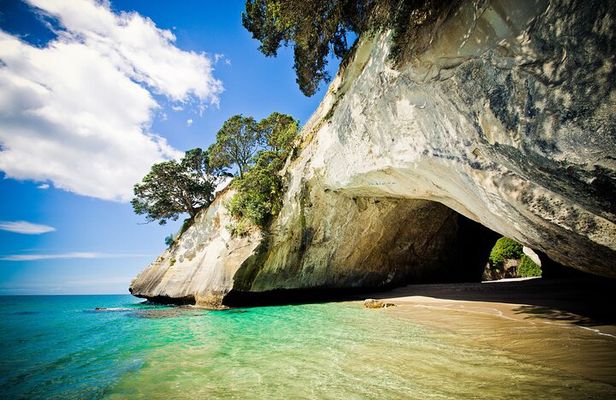 Cathedral Cove & Hot Water Beach Small-Group Tour with Lunch