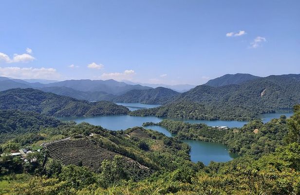 Pinglin Tea Culture & Maokong Day Tour from Taipei
