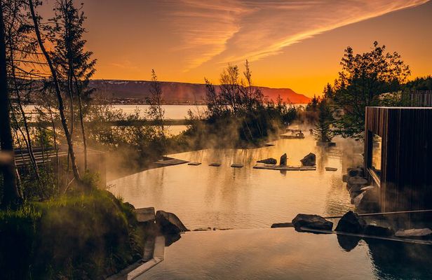 Forest Lagoon and Northern Lights Guided Night Tour