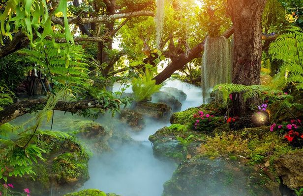 Chiang Rai White and Blue Temples with Lalitta Cafe