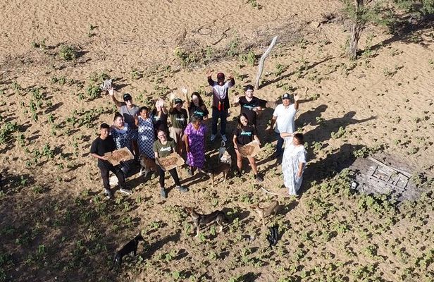 Saving Animals Tour in La Guajira (4 days / 3 nights)