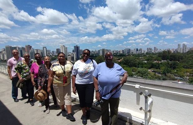 5 Hours Private Full Day City Tour in Sao Paulo