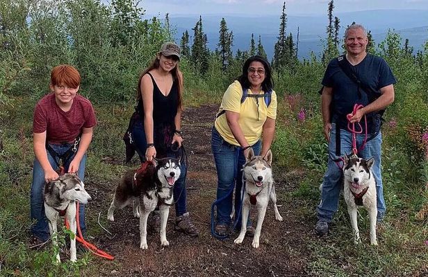 Husky Hike - Guided Nature Walk w/ Siberian Huskies