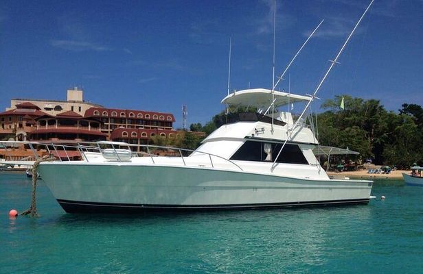 Puerto Plata 5-Hour Private Deep Sea Fishing Excursion