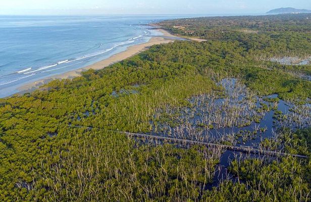 Private Wildlife Tour in Avellanas Beach