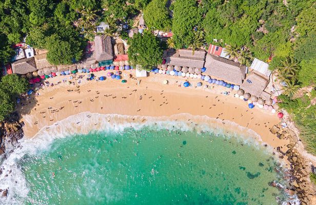 Private Tour to Carrizalillo Mirador Turtles and Release Turtles