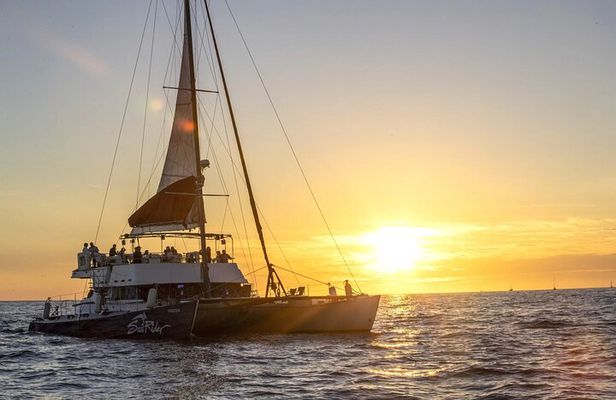 Cabo Cruise Sunset Adventure: Tacos, Margaritas & Sea Lions