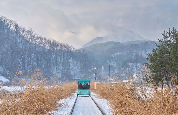 Nami Island One Day Trip with Gangchon Rail Bike from Seoul