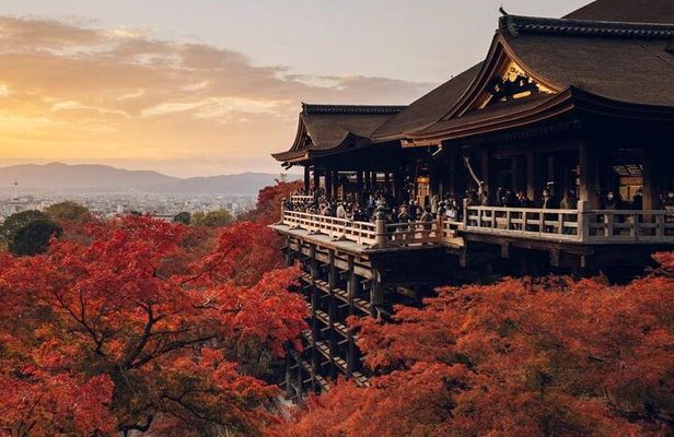 Kiyomizu Temple, Fushimi Inari Taisha and Nara Park Day Tour