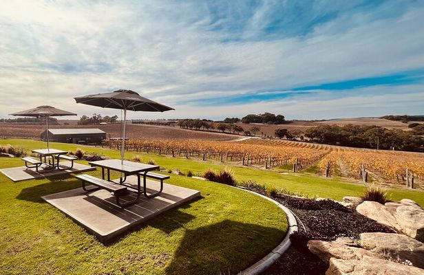 From Adelaide Cruise Ship to McLaren Vale and Historic Hahndorf