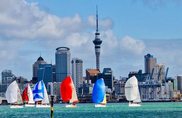Auckland Half Day City Tour - Heart of Auckland