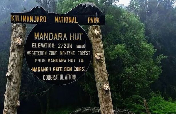 Mount Kilimanjaro Day Hike Up to Mandara Hut