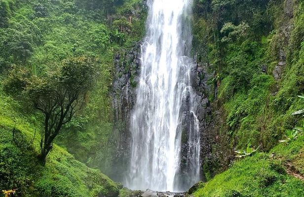 1-Day Materuni Waterfalls, Coffee Tour and Chemka Hot Spring