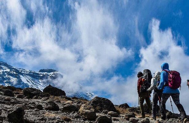 1 Day Mount Kenya National Park Hike Through Narumoro Route