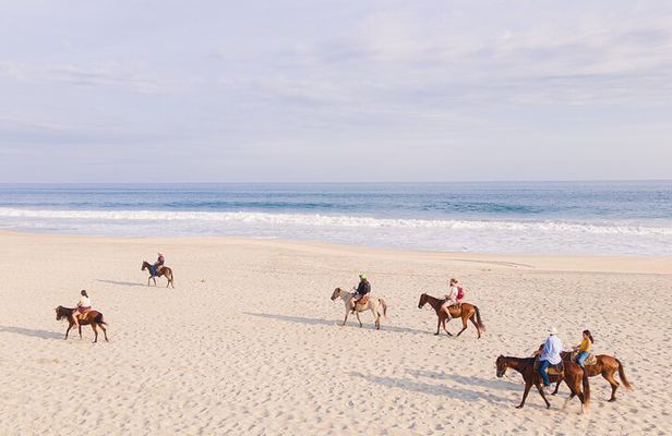 Horseback Riding Tour on the Beach in Puerto Escondido