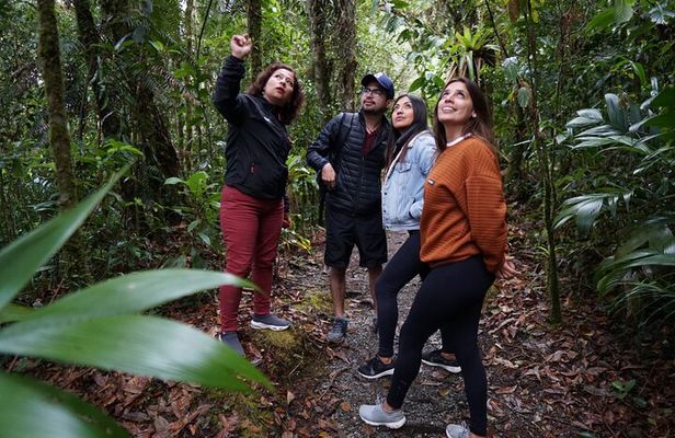 Half-Day Shared Tour to The Quetzal Birdwatching from Coban