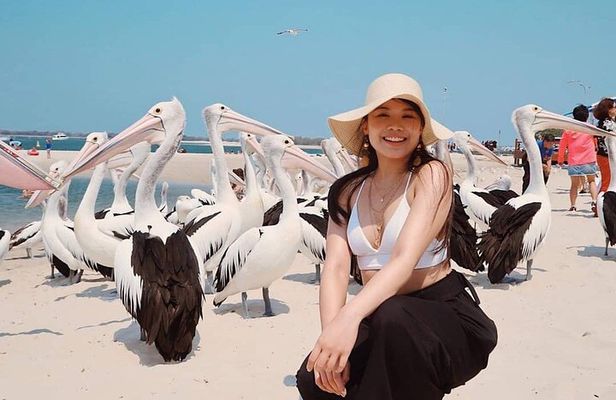 Gold Coast Surfer's Paradise Private Tour from Brisbane