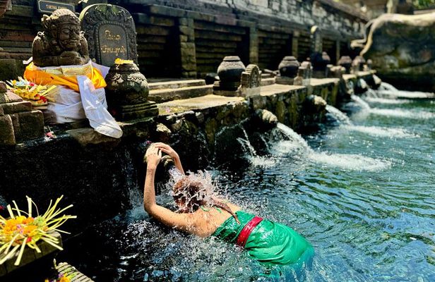 Ubud Tegalalang Private Car Tour