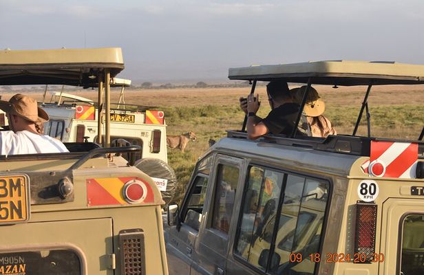 5 Days 4 Nights Masai Mara & Nakuru Private Safari Peak Season