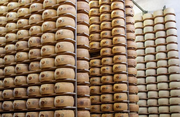 Parmesan Cheese Factory Near Modena Tasting And Tour