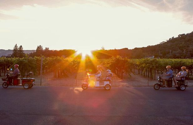3 Hour Electric Trike Sunset Tour at Sonoma