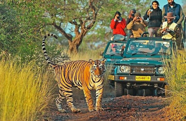 8 Days Golden Triangle with Ranthambhore Tour