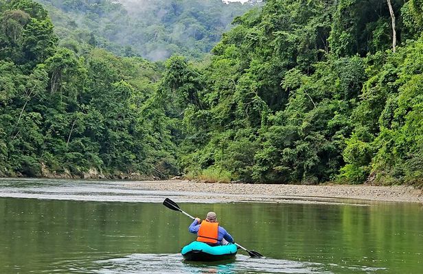 Full Rainforest Experience: Kayaks, Waterfall and Embera village