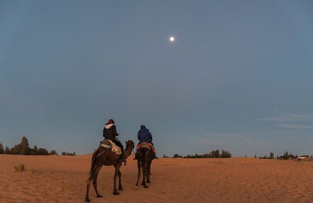 From Marrakech: 2-Day Sahara Tour to Zagora & Ait Ben Haddou