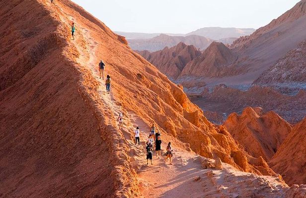 Half-Day Tour to the Valley of the Moon