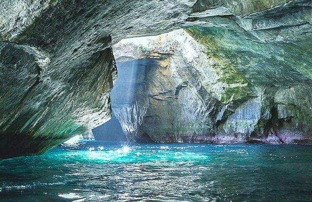 West IZU Uncovered Tour Cave Cruise and Monkey Encounter