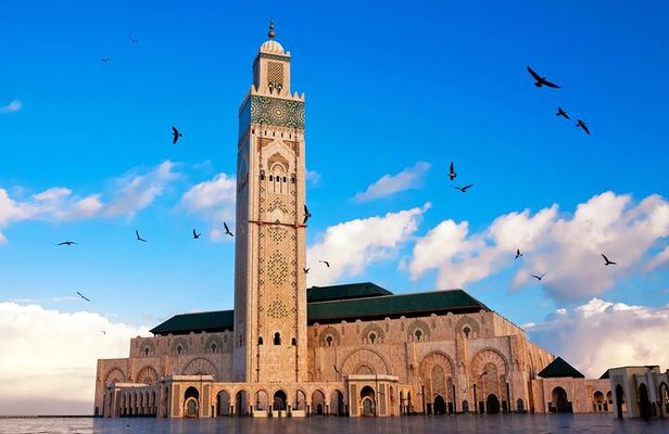 Tour of Casablanca from cruise or hotels, guided tour. 