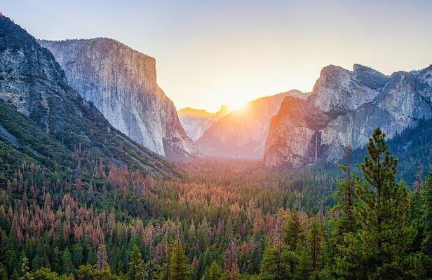 Enchanting small group Yosemite National Park Tour from Cupertino
