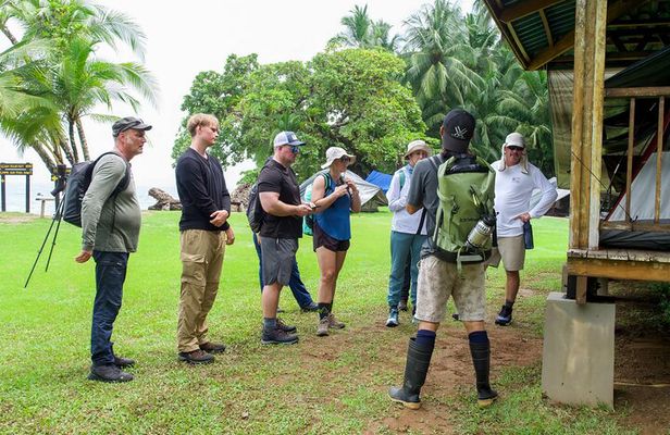 Corcovado National Park Land and Ocean Tour