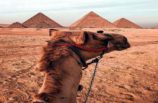 Giza Pyramids private trip With entering Pyramid and Camel ride
