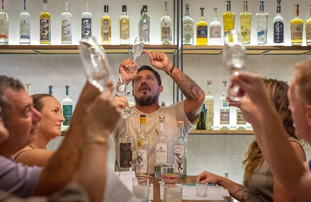Ultimate Agave Spirits Tastings Experience at El Tasting Room