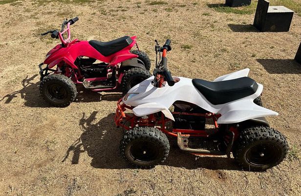 Mini ATVs and Farm Animal Experience