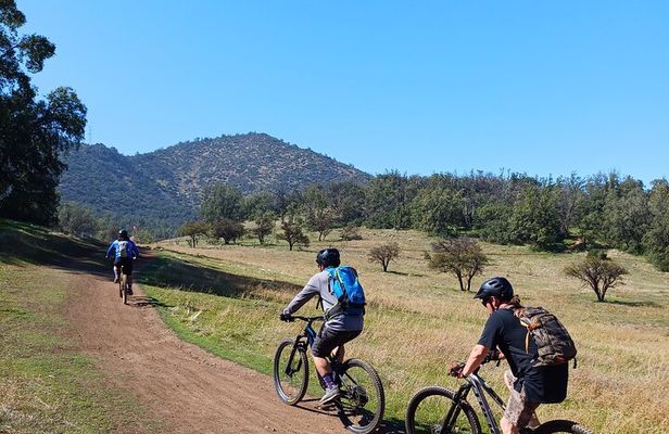 Mountain Bike Experience from Chile