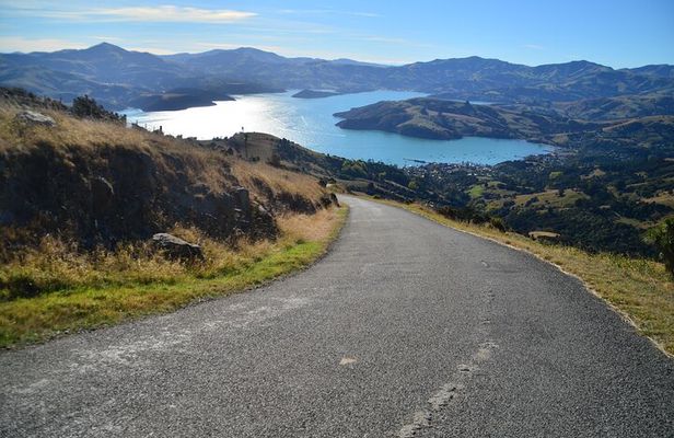 Visit Akaroa from Christchurch (Small Group Tour with lunch)