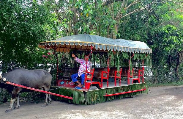 A Day in Paradise at Villa Escudero Coconut Plantation Adventure