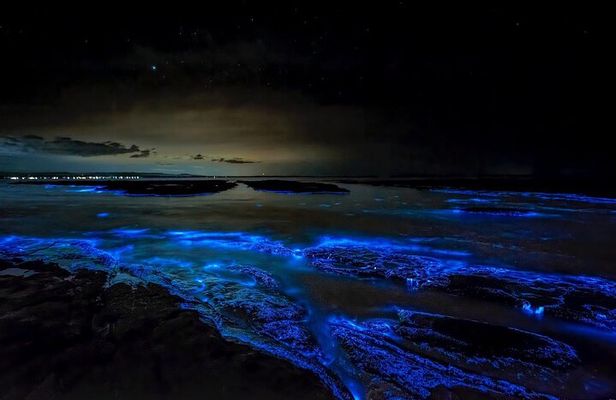 Bioluminescent Bay Adventure in Grand Cayman