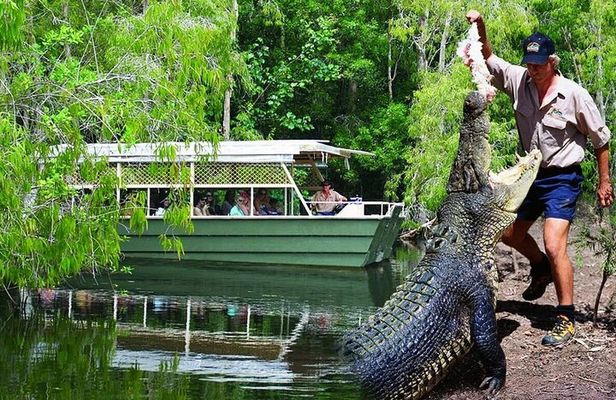Hartley Crocodile Park with Kuranda, Skyrail Cableway and Train
