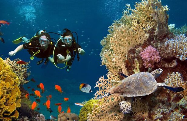 Intro Scuba Diving For Beginners With Lunch in Hurghada