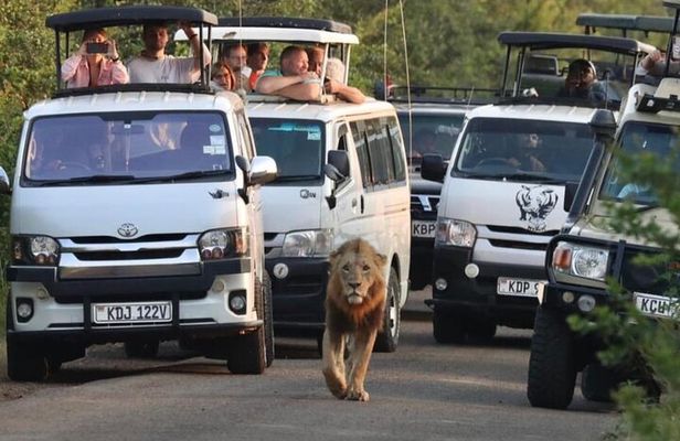 Maasai Mara Day Trip From Nairobi